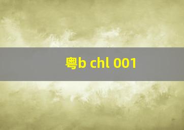 粤b chl 001